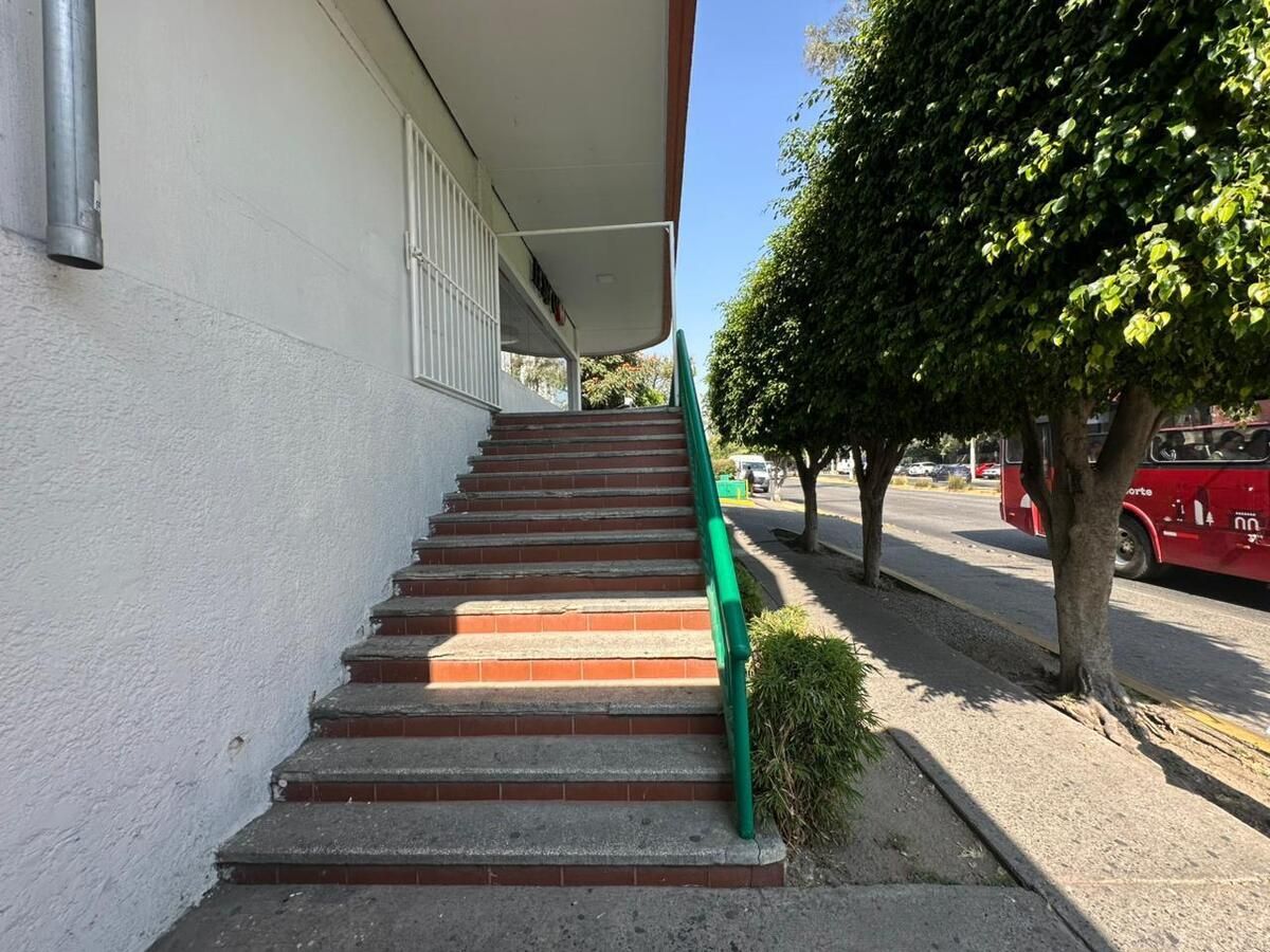 11 de 12
