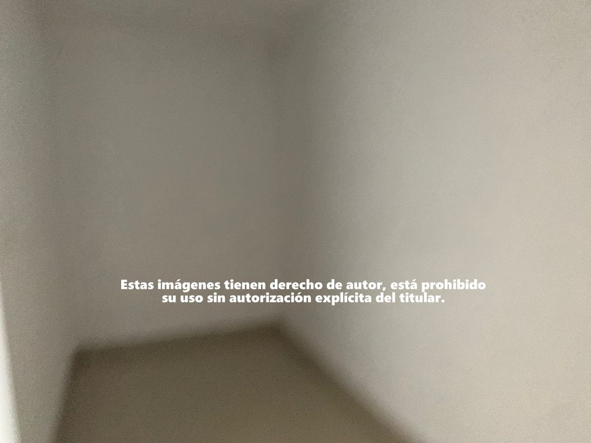 Imagen 6 de 10