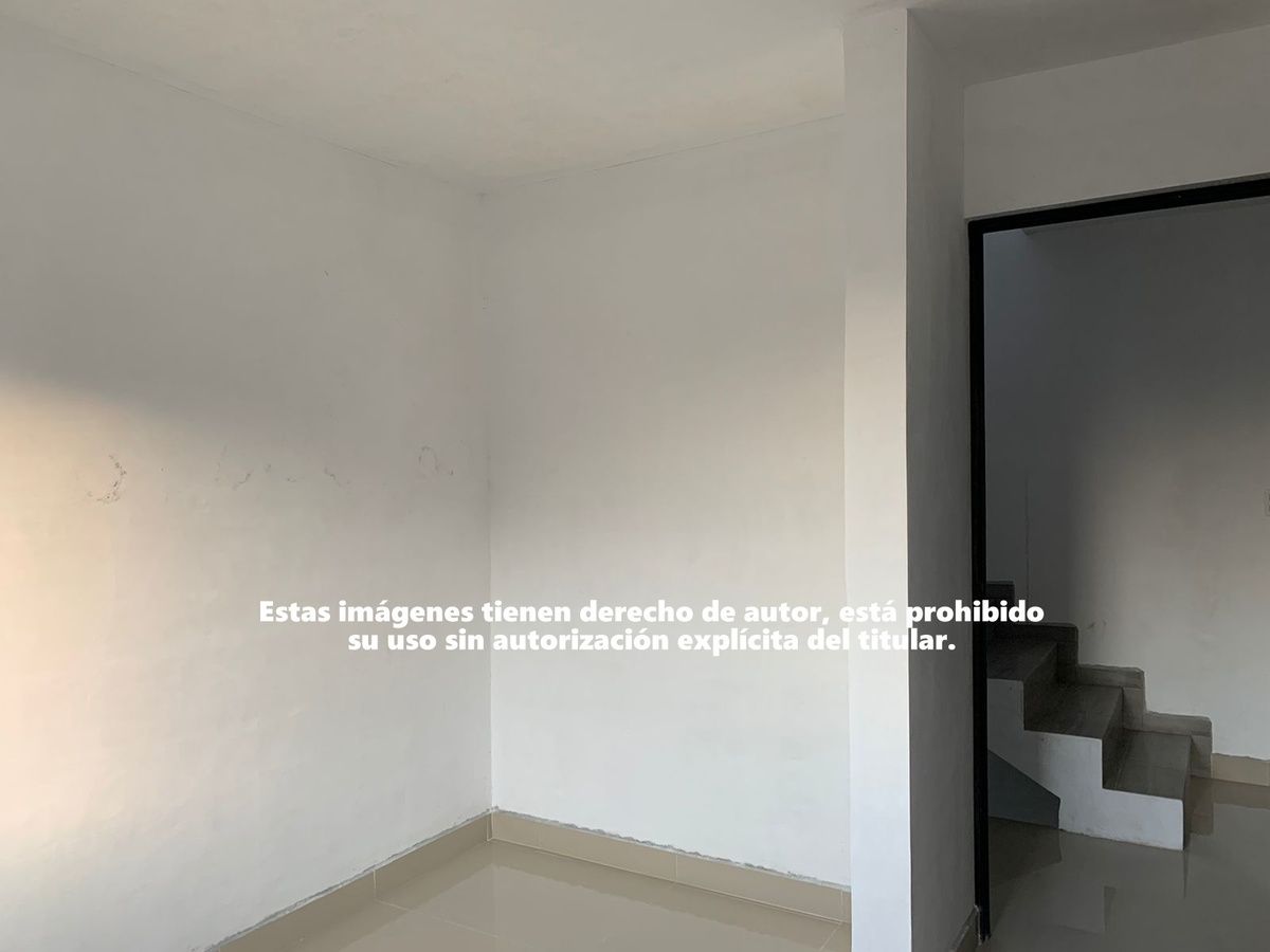 Imagen 10 de 10