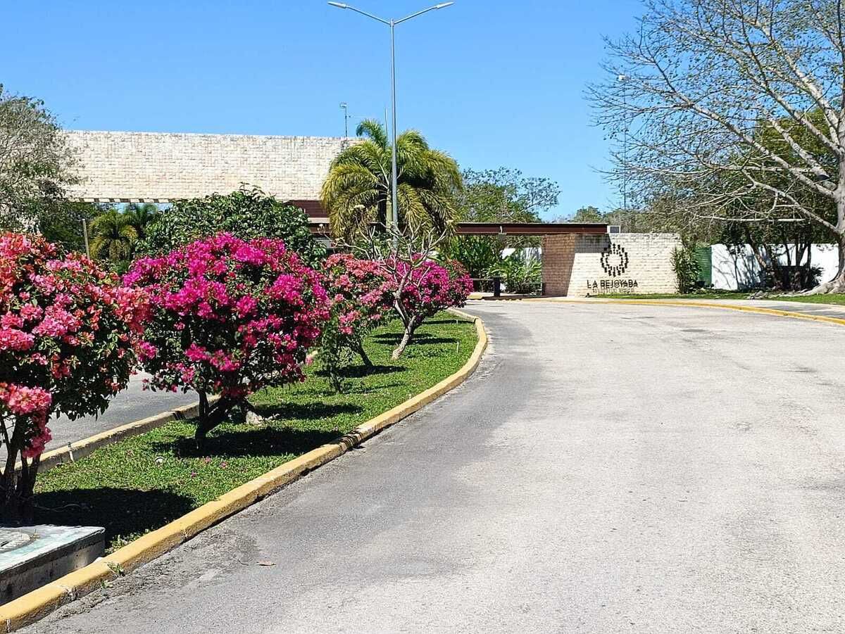 12 de 13