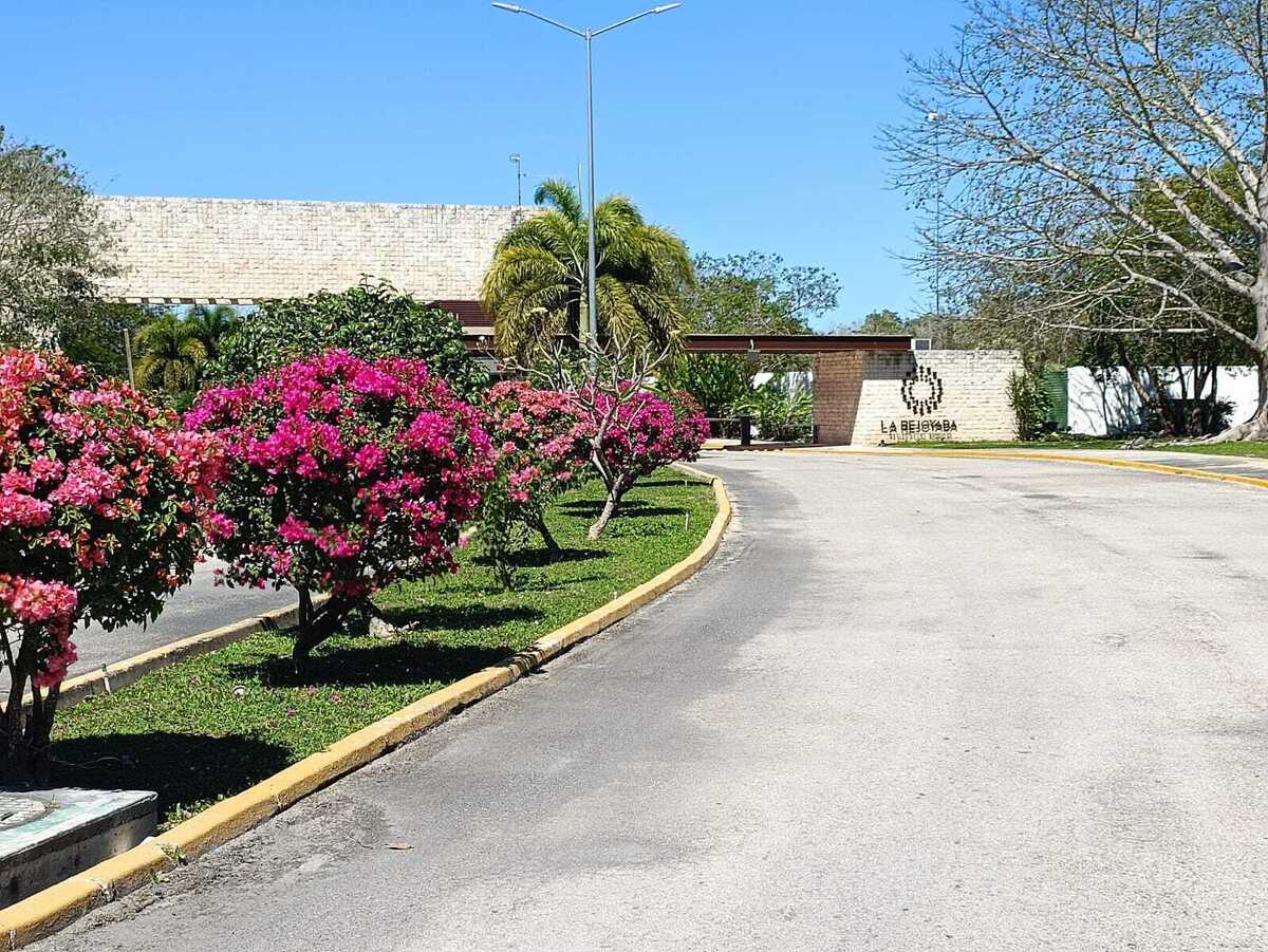 13 de 15
