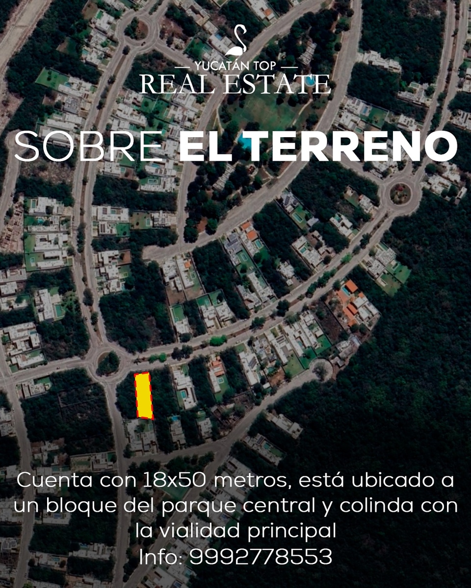 15 de 15