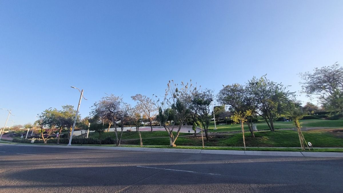 8 de 26
