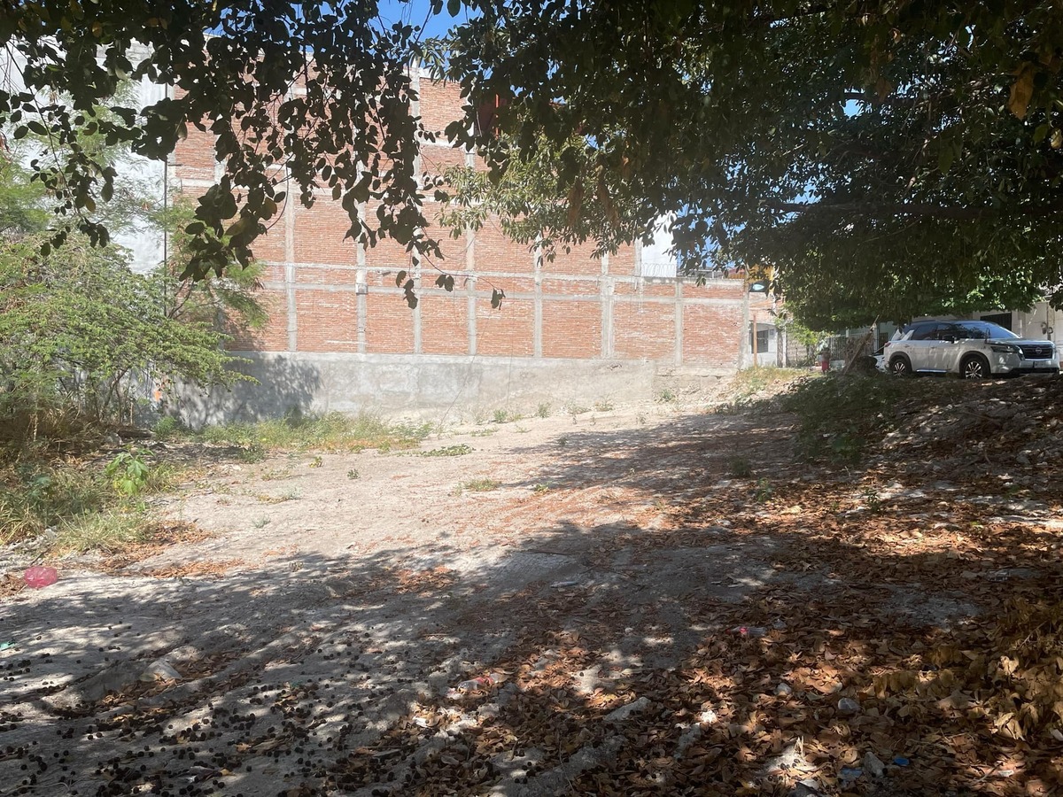 6 de 9