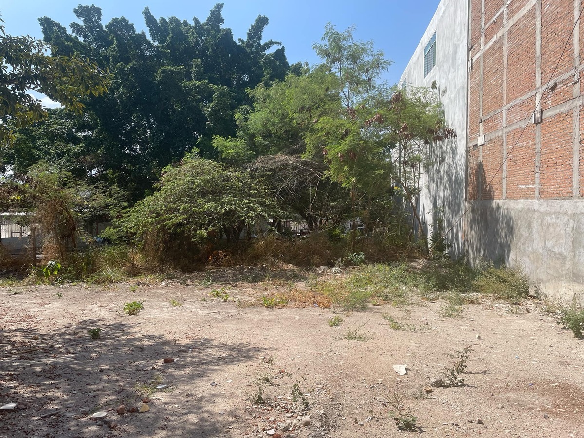 7 de 9