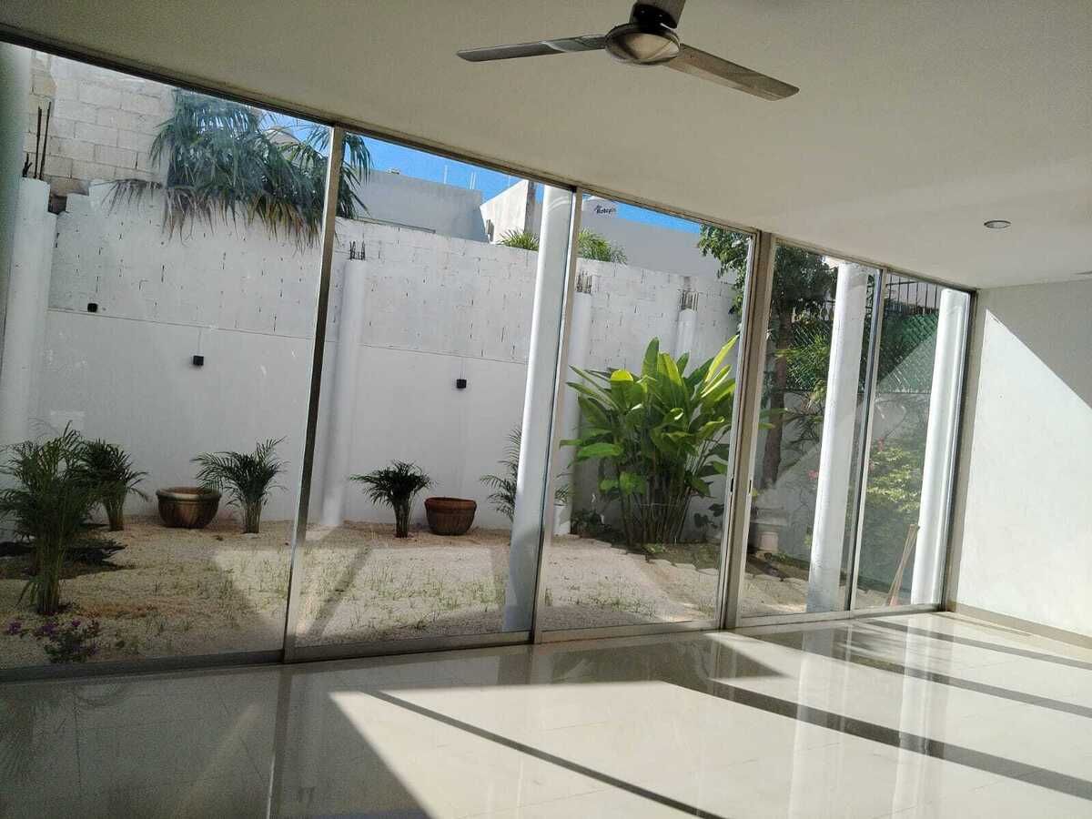 6 de 11