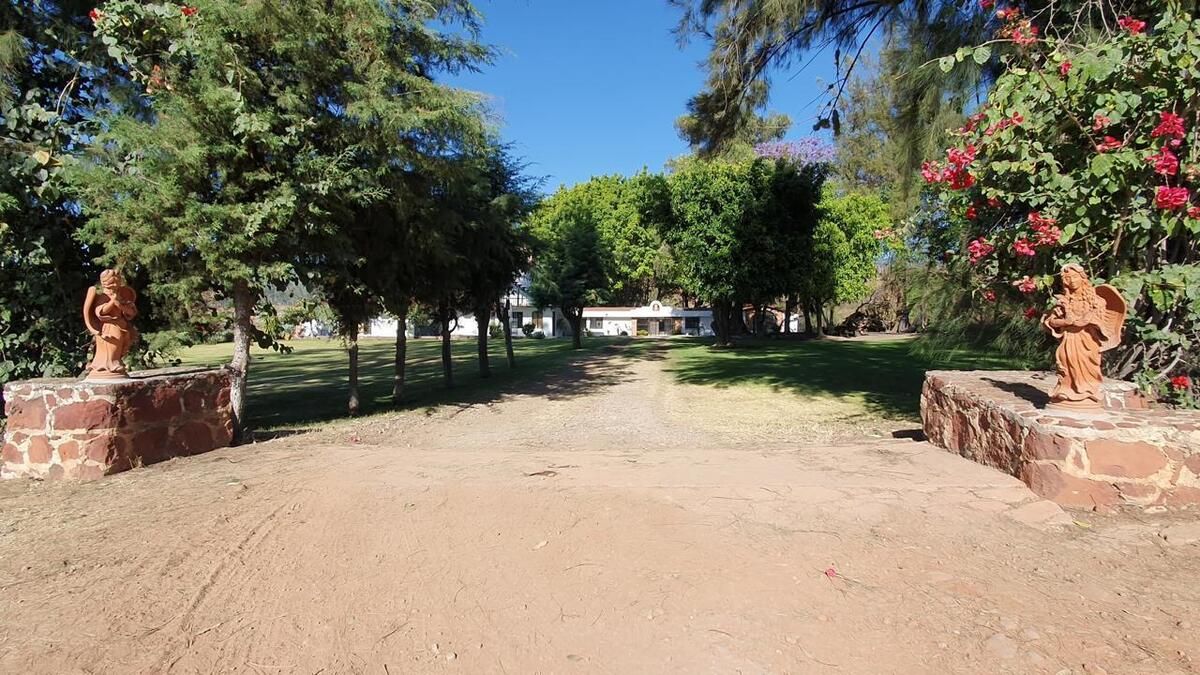13 de 48