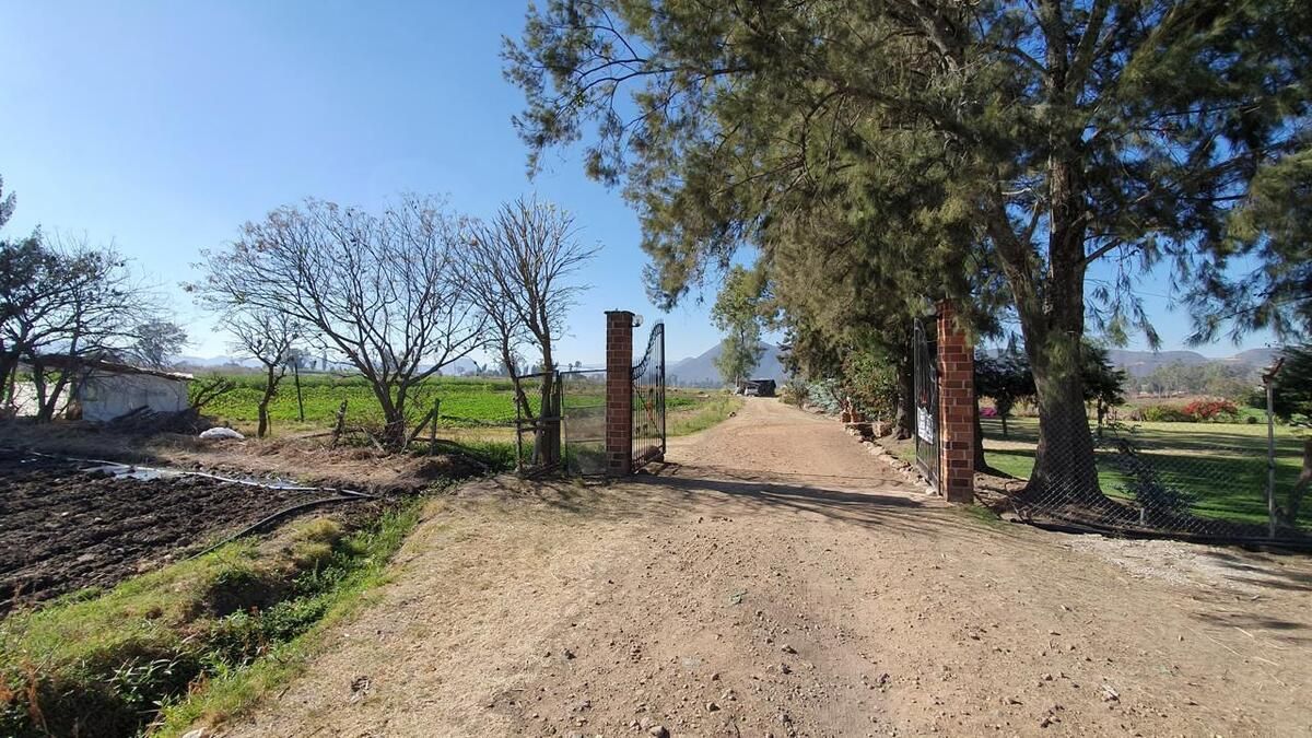 14 de 48