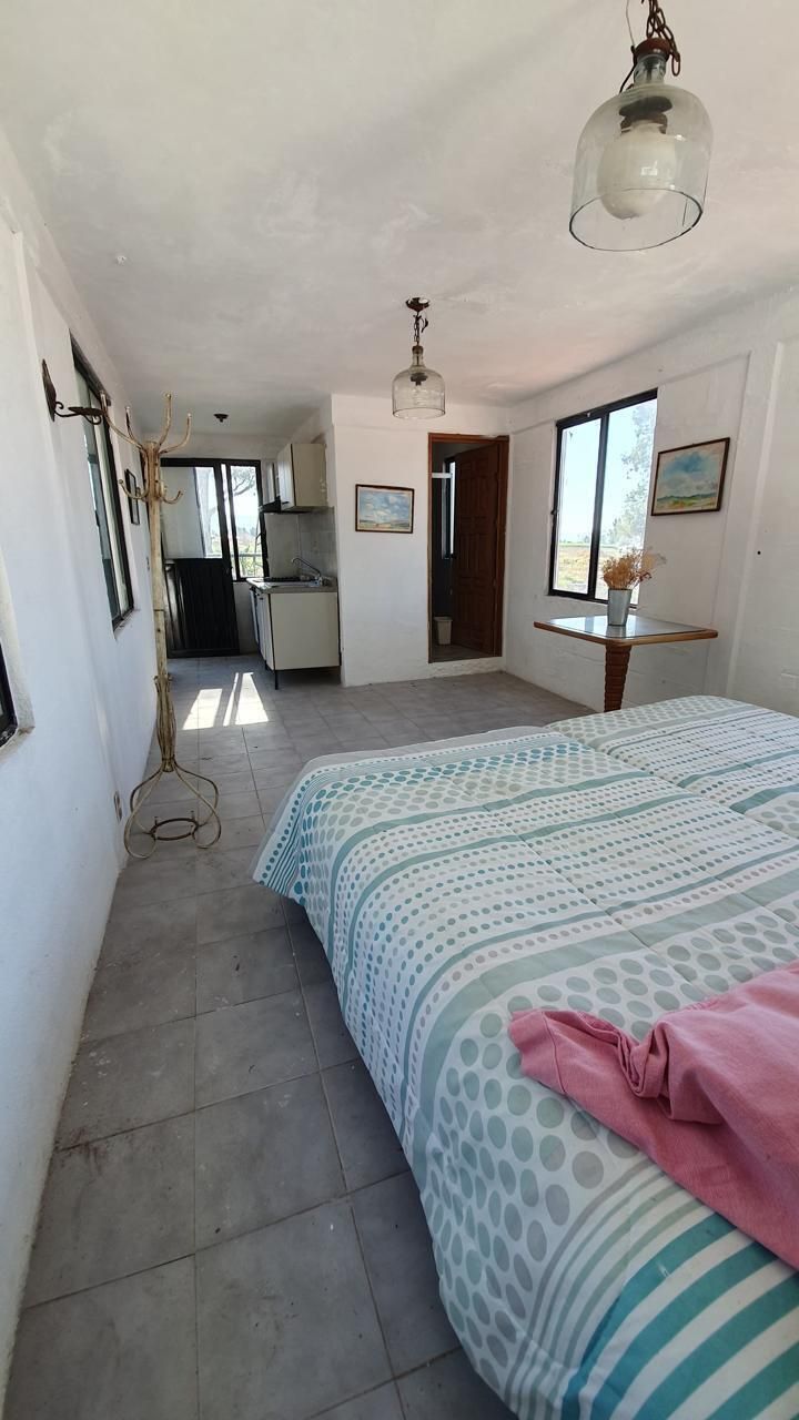 29 de 48