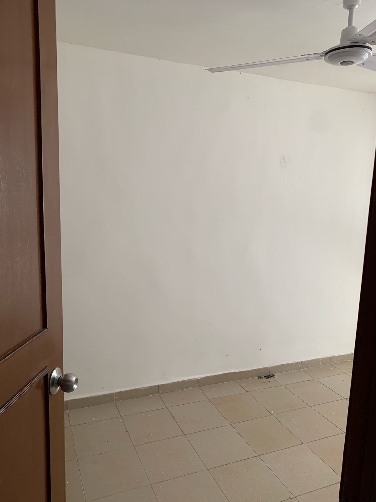 5 de 19