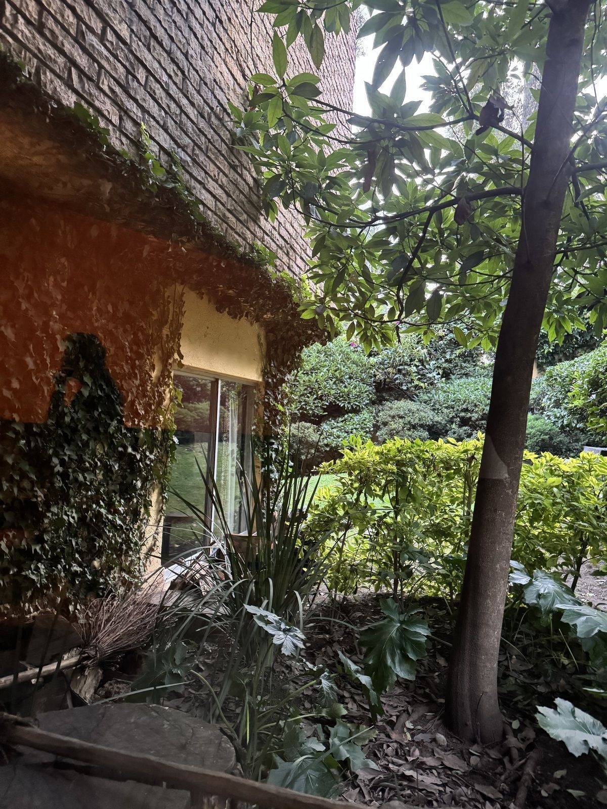 CASA EN VENTA LOMAS HIPÓDROMO - foto 5