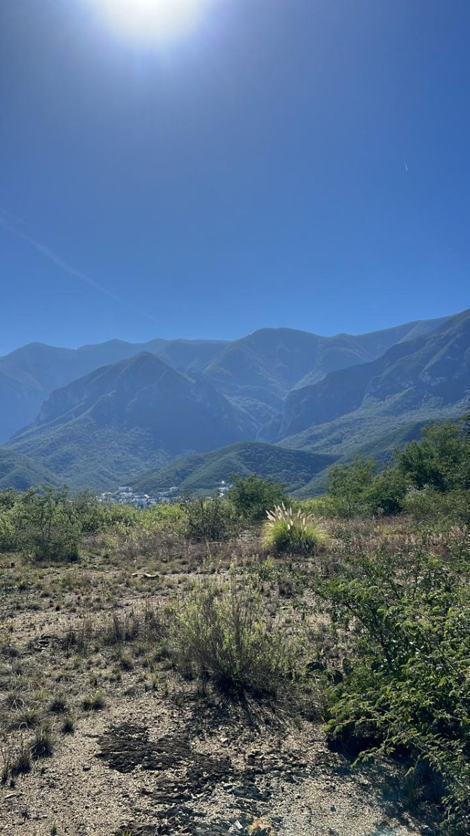 1 de 3