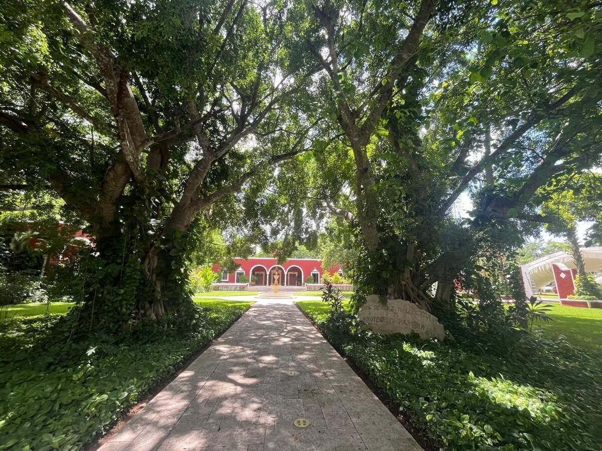 17 de 17: Hacienda San Diego Cutz