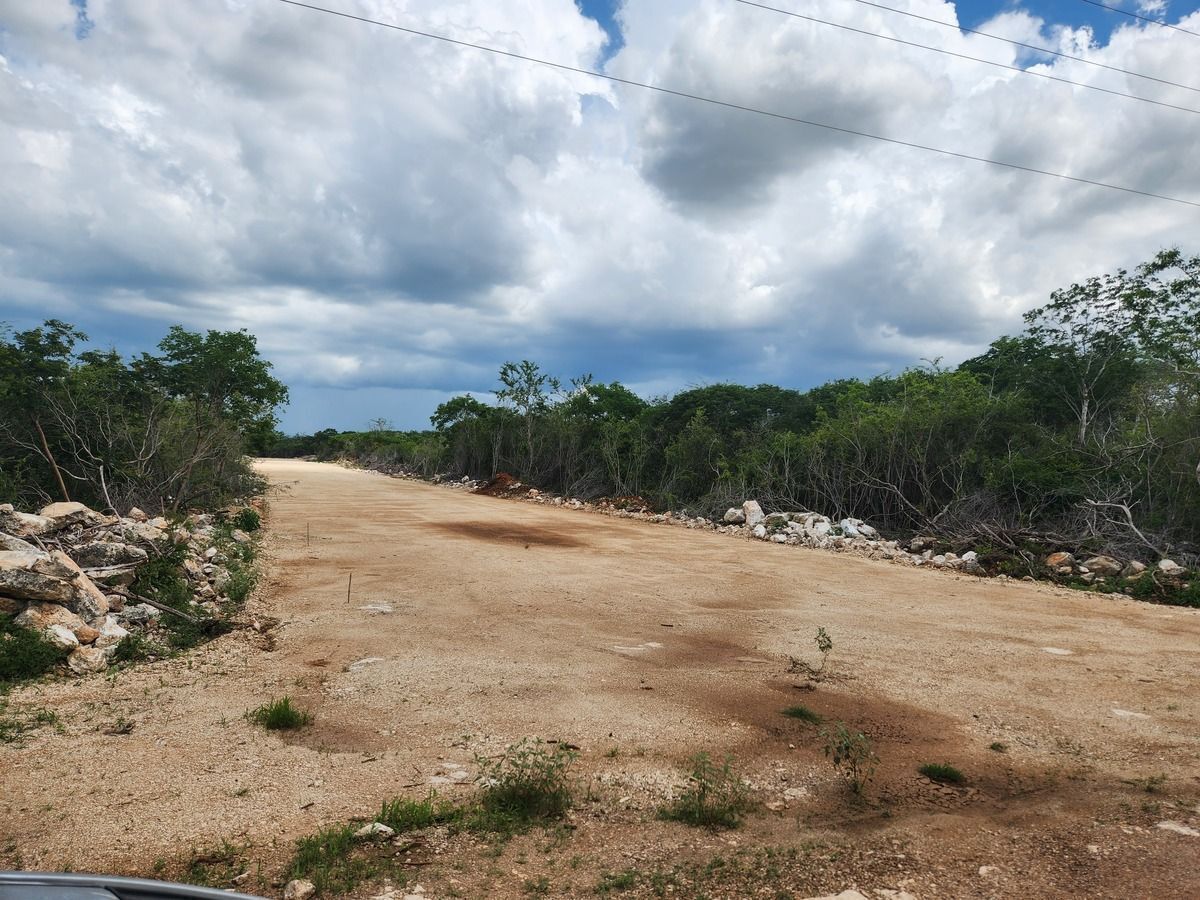 14 de 21: Terreno