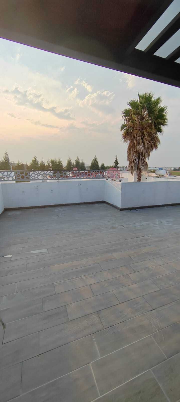 4 de 24