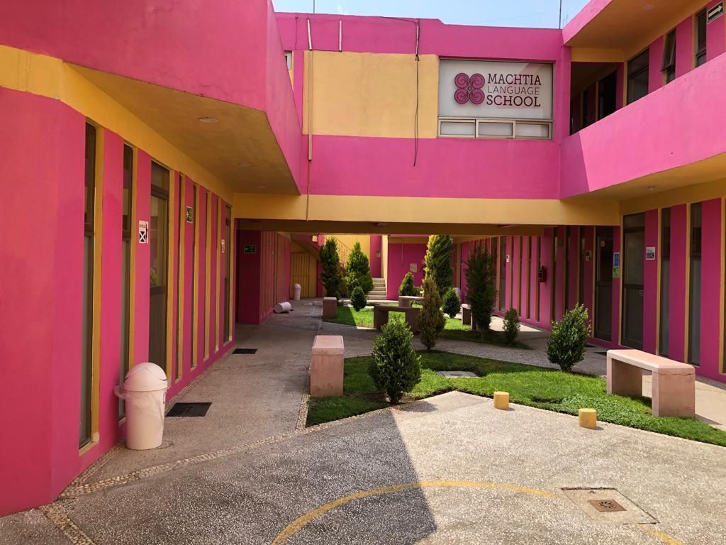 4 de 9: PATIO Y PLANTA BAJA