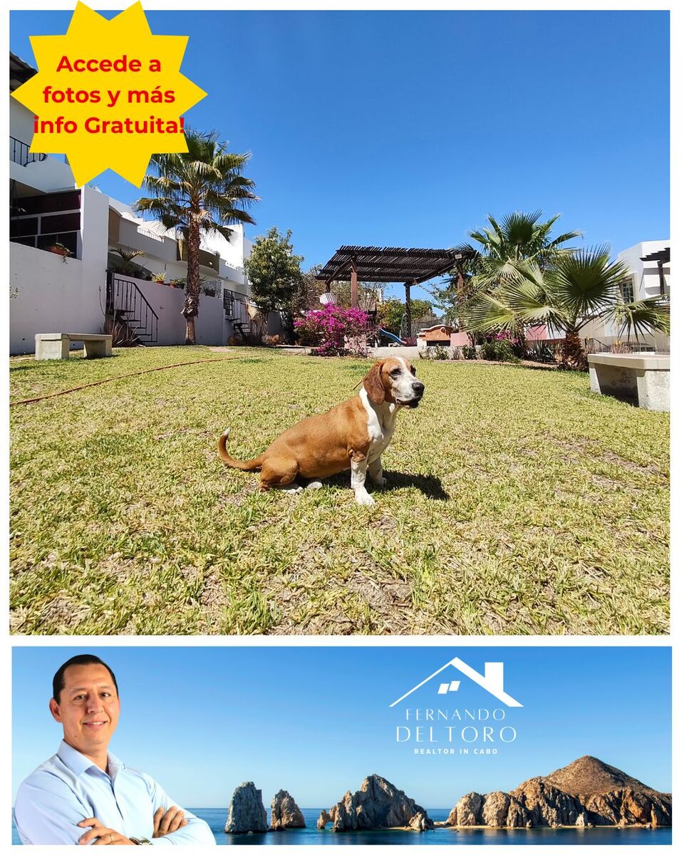 1 de 23: Gran Patio Comun con Jardin Natural y zona de juegos