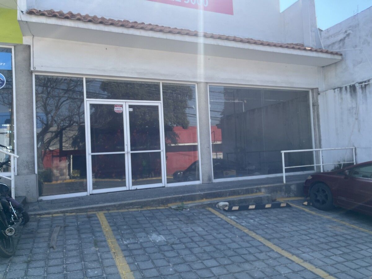 4 de 4