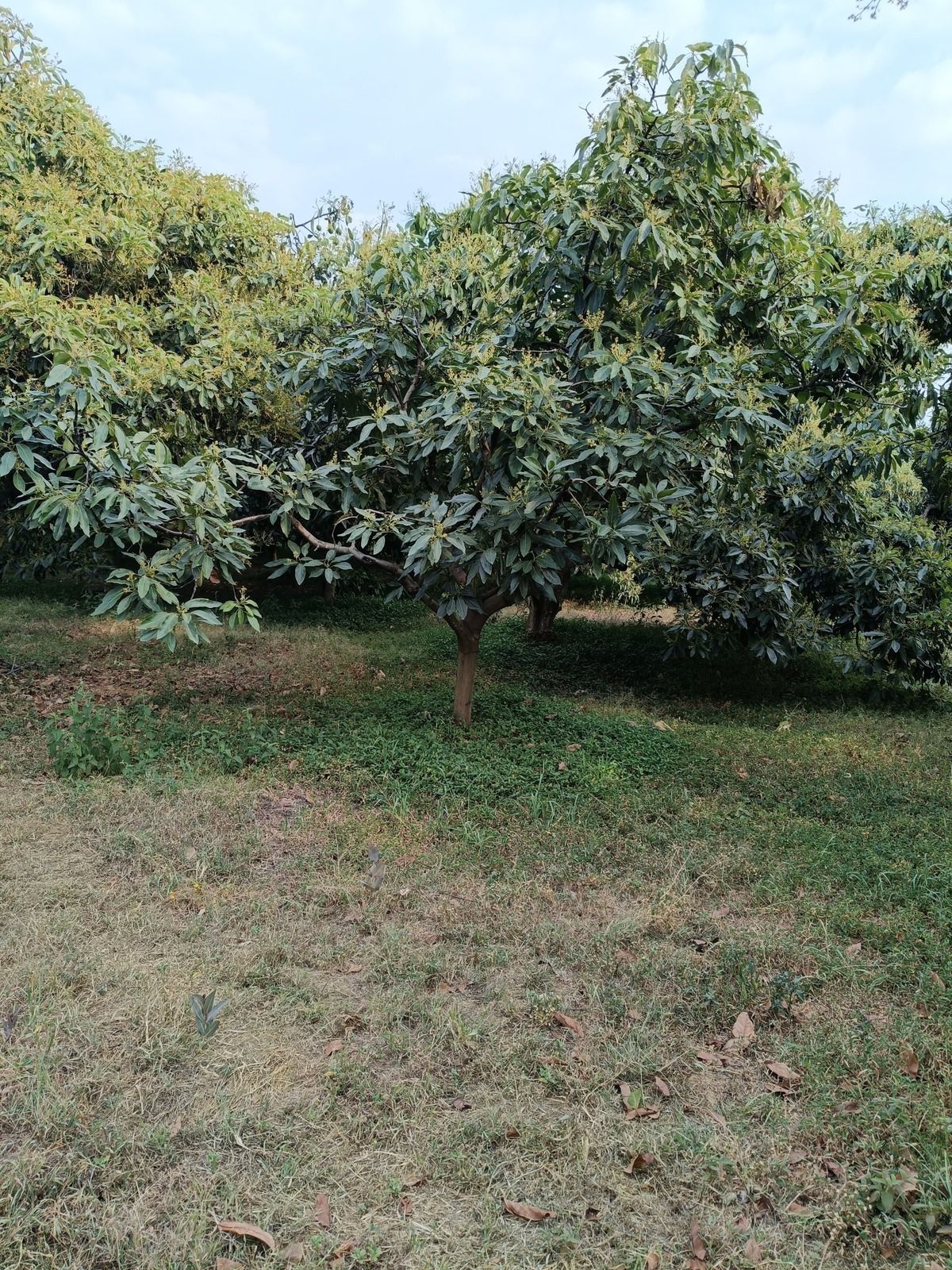 3 de 18