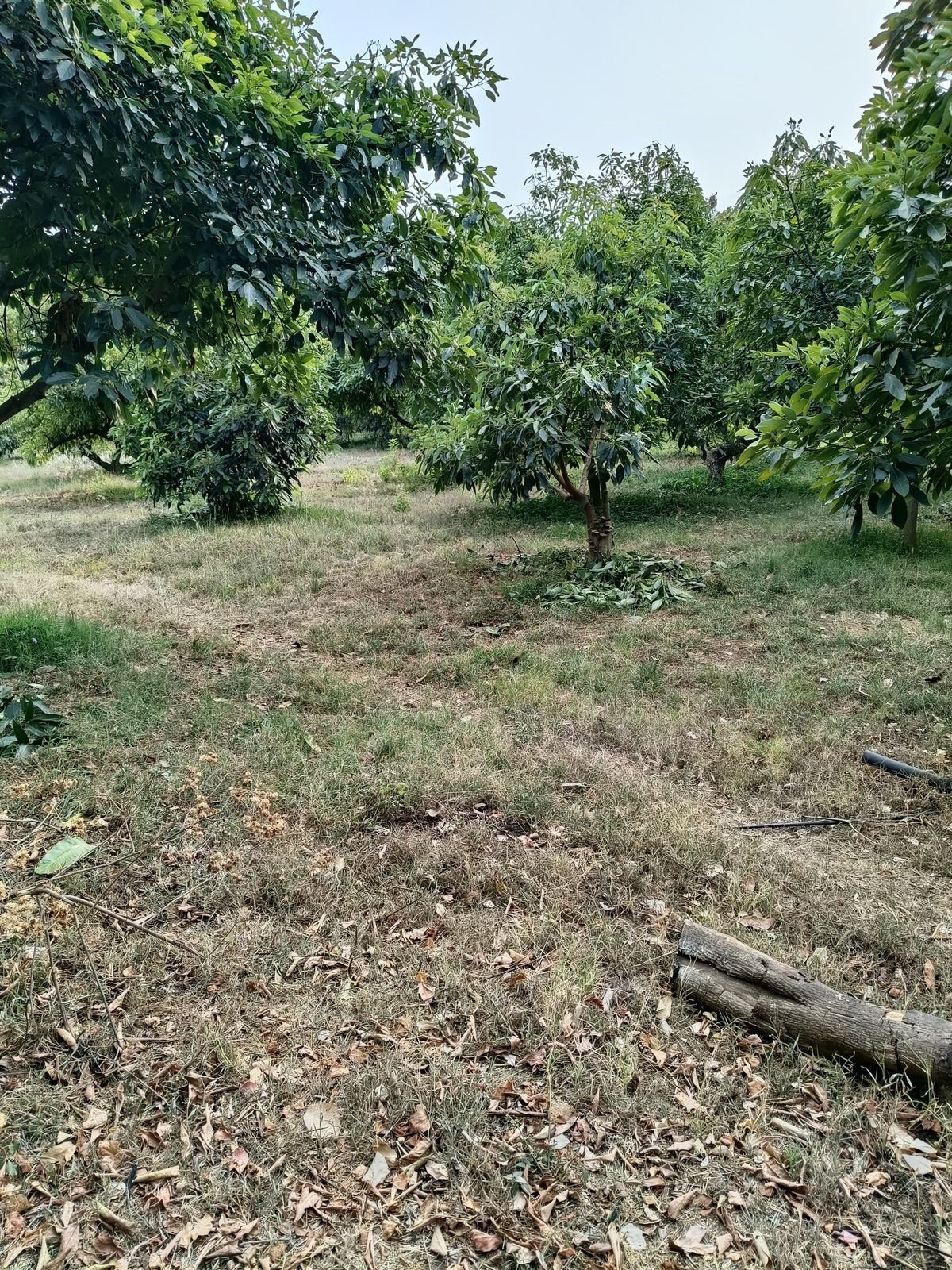 4 de 18