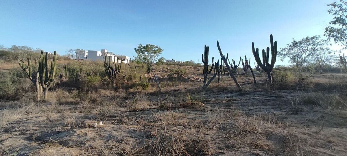 3 of 12: Desarrollo Inmobiliario en la zona