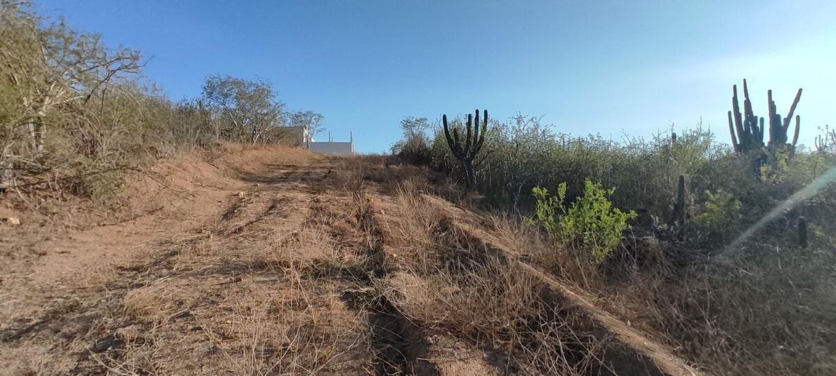 7 of 12: Calle de acceso