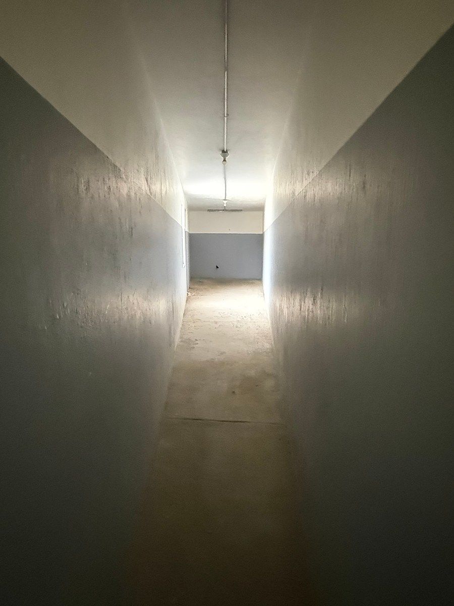 Bodega comercial en Agua Blanca Industrial, Zapopan, foto 11 de 28