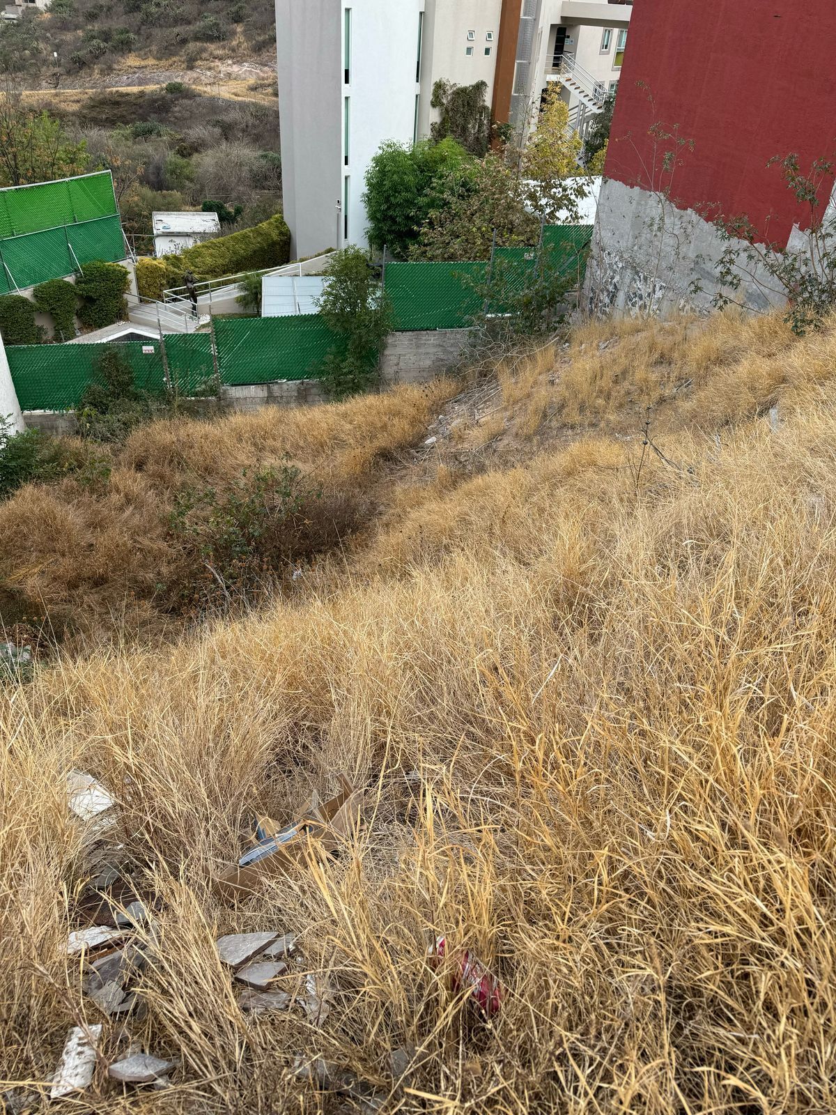 5 de 6