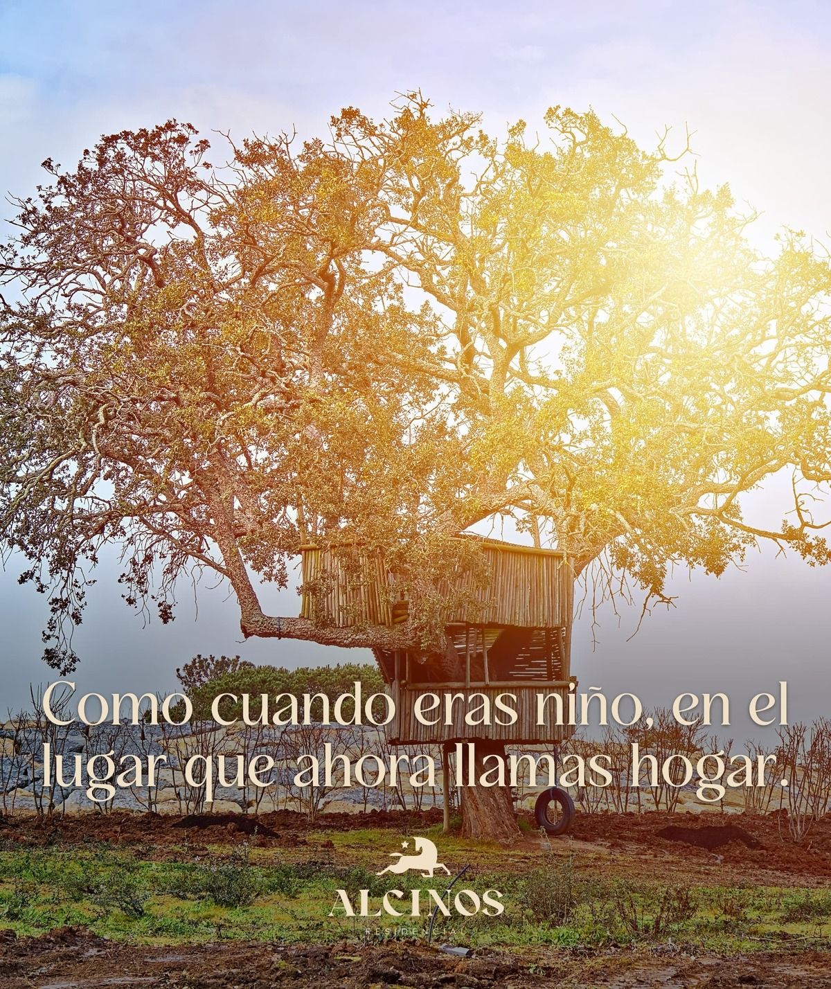 Imagen 8 de 9