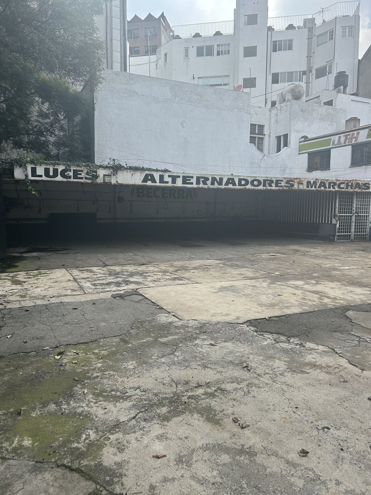 3 de 7