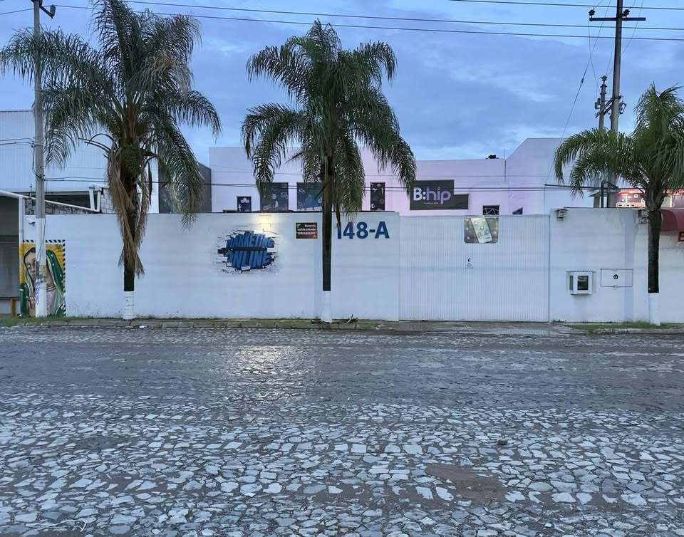 1 de 8