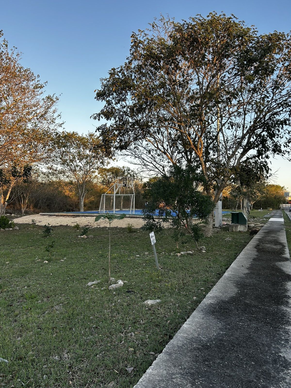 6 de 8