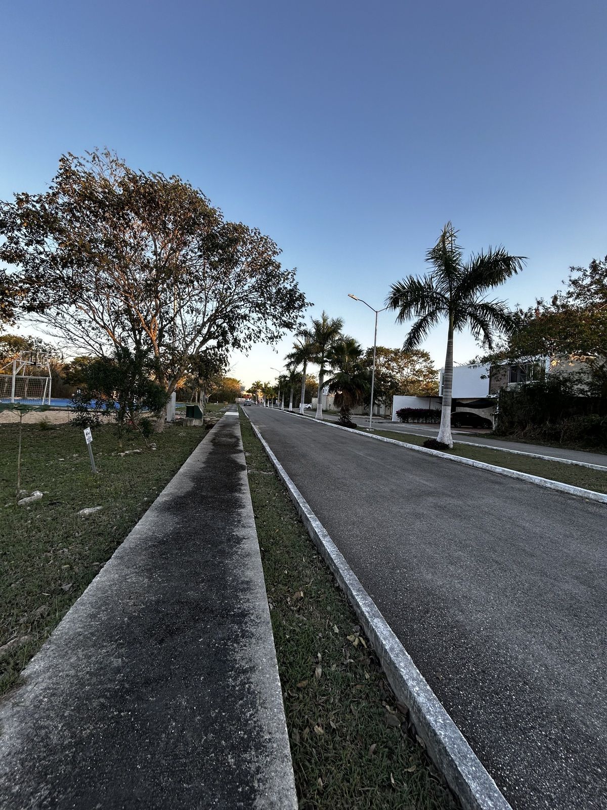 7 de 8
