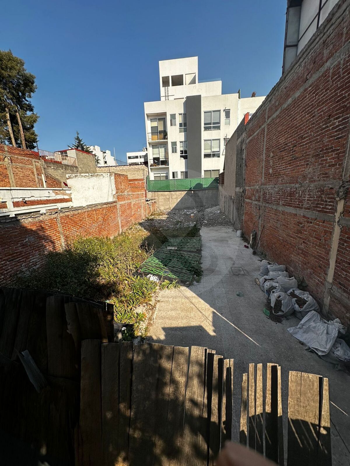 11 de 13