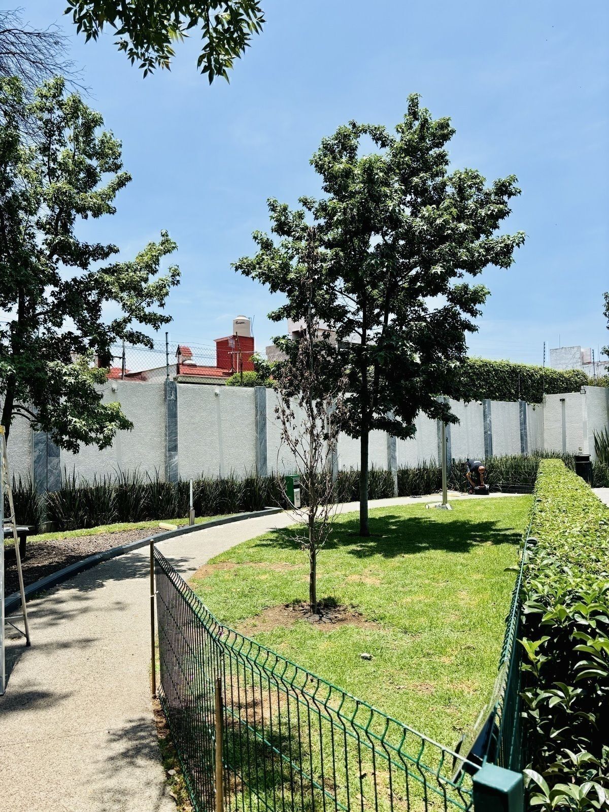 38 de 49