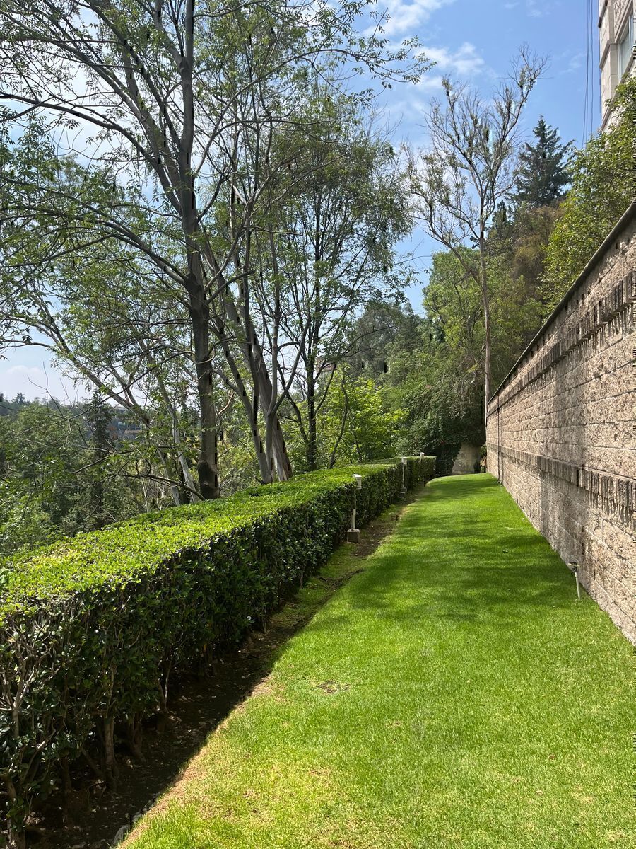 6 de 42