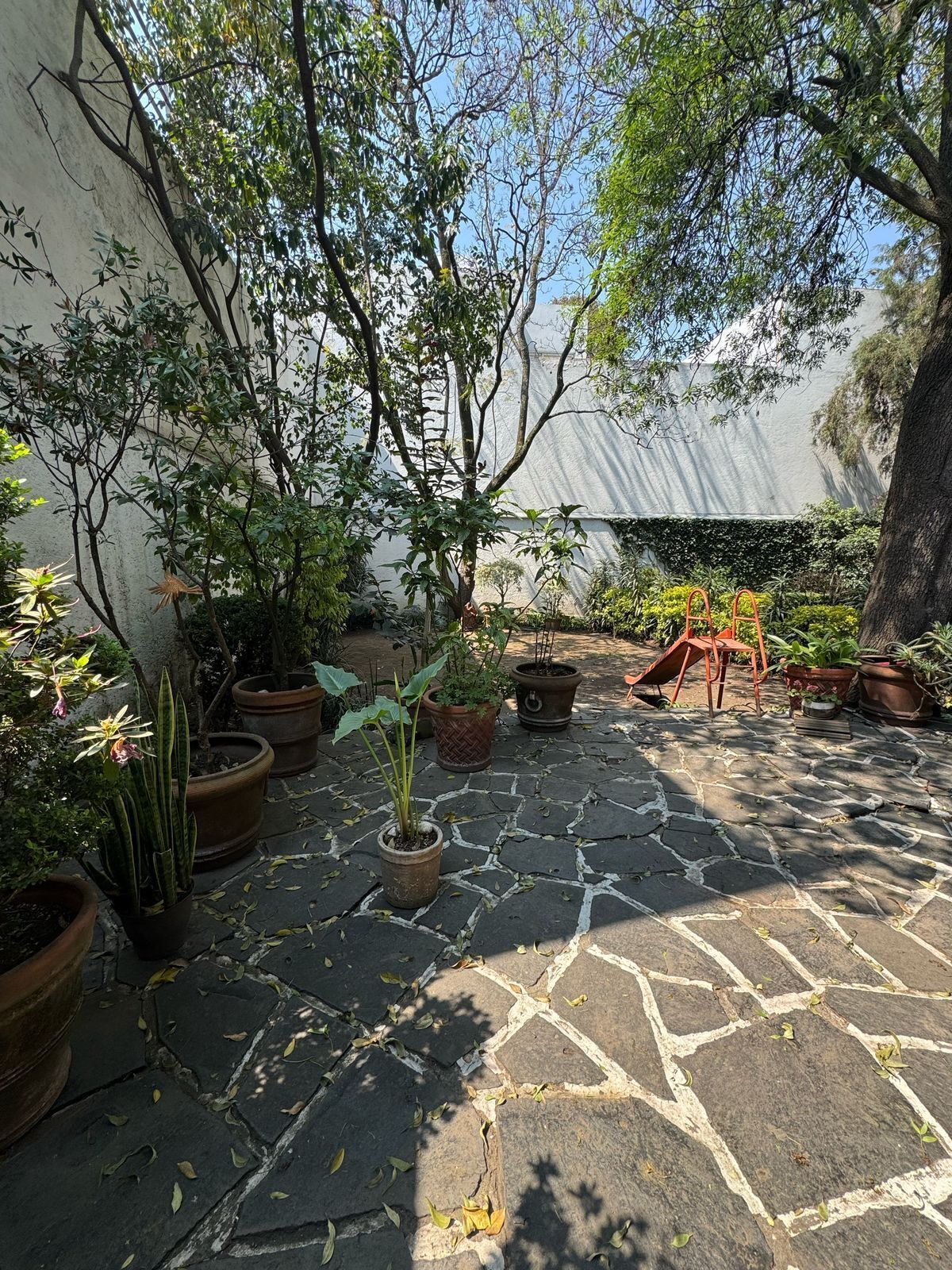 1 de 12