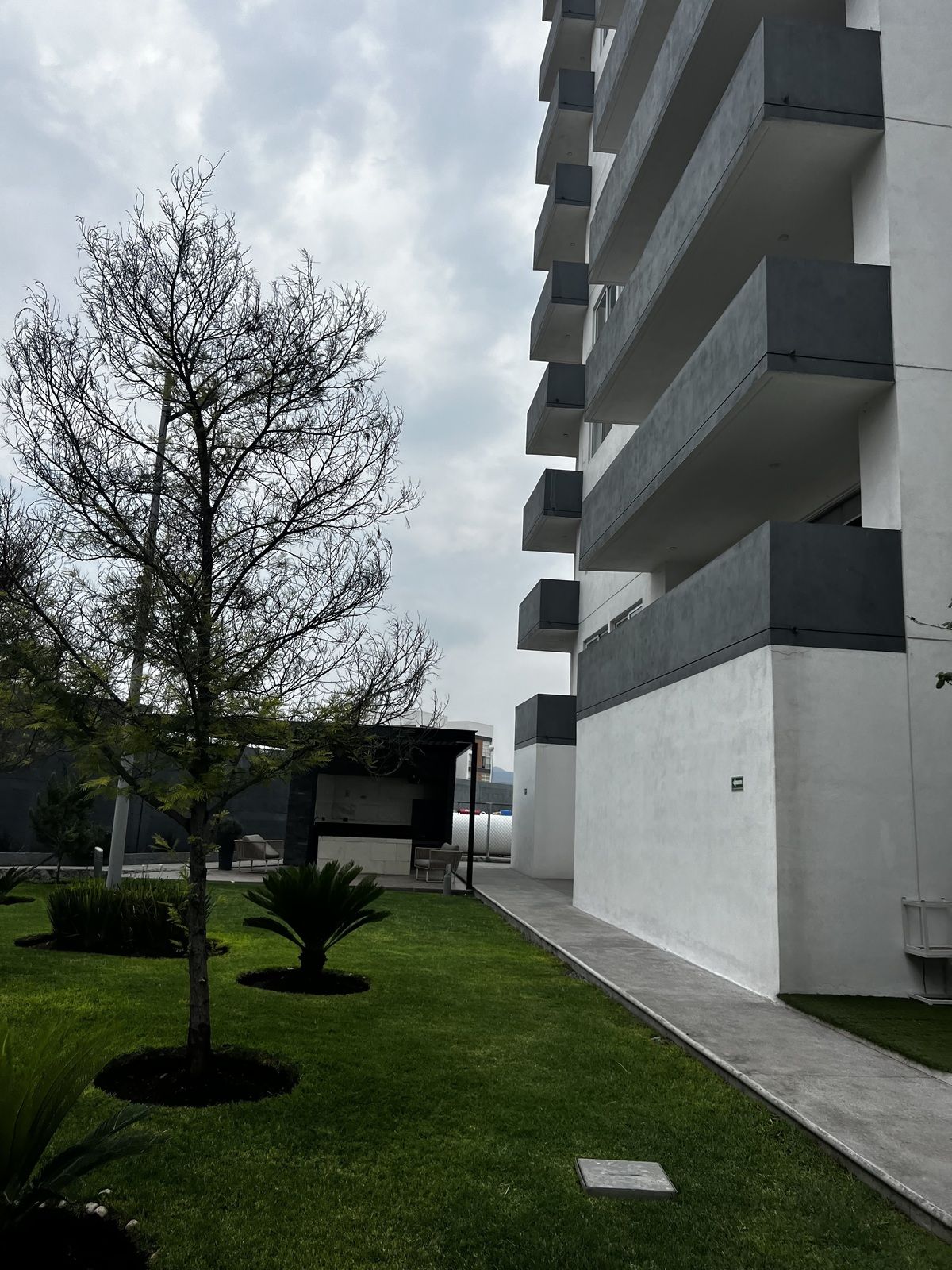 3 de 19: area verde