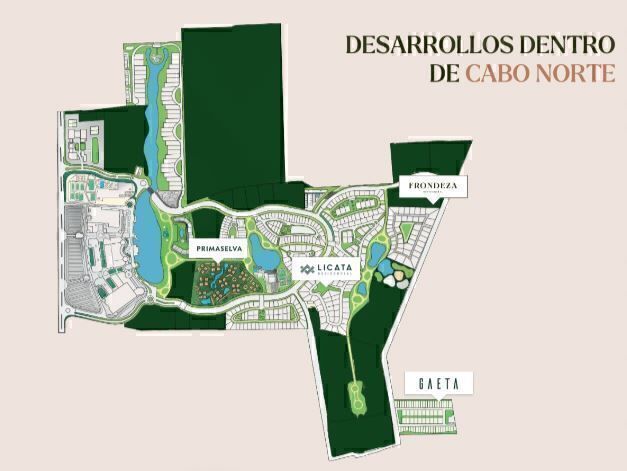8 de 16