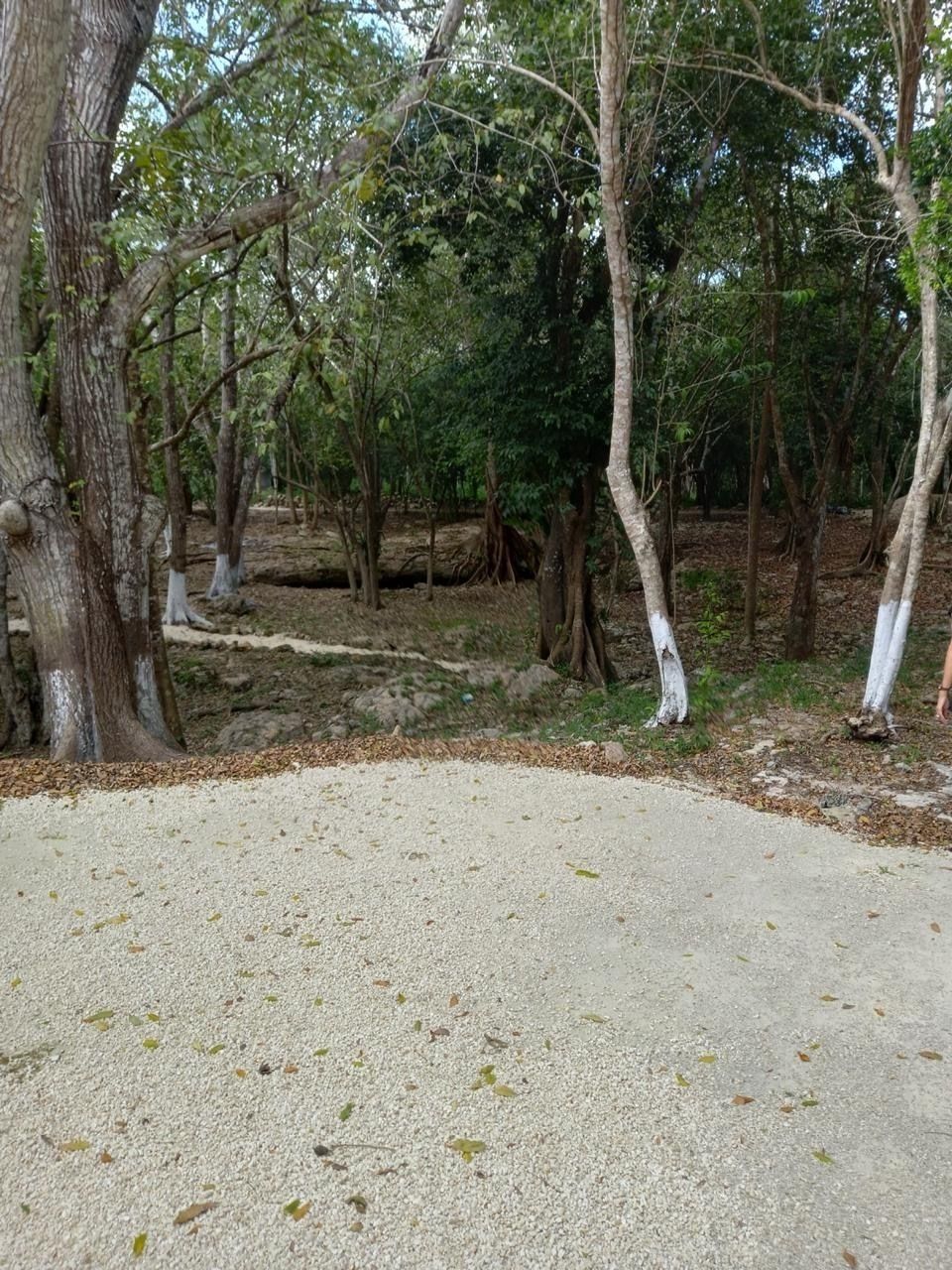 23 de 23