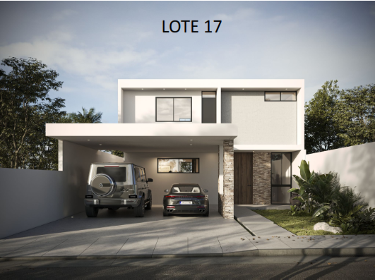 5 de 8: Lote 17