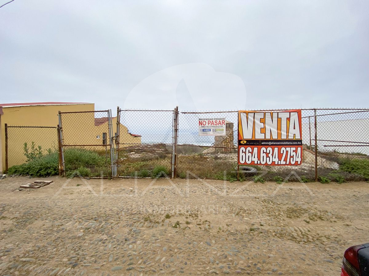 11 de 15