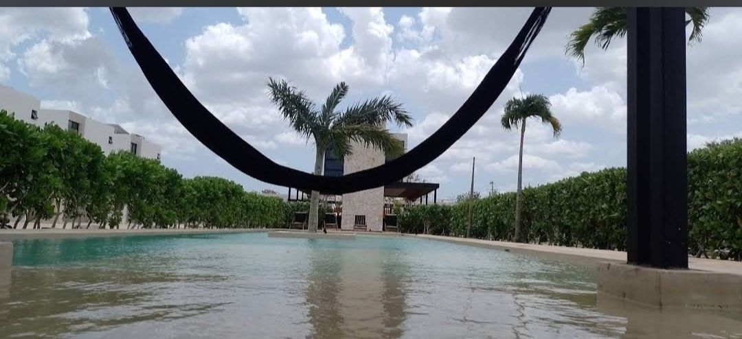 15 de 15