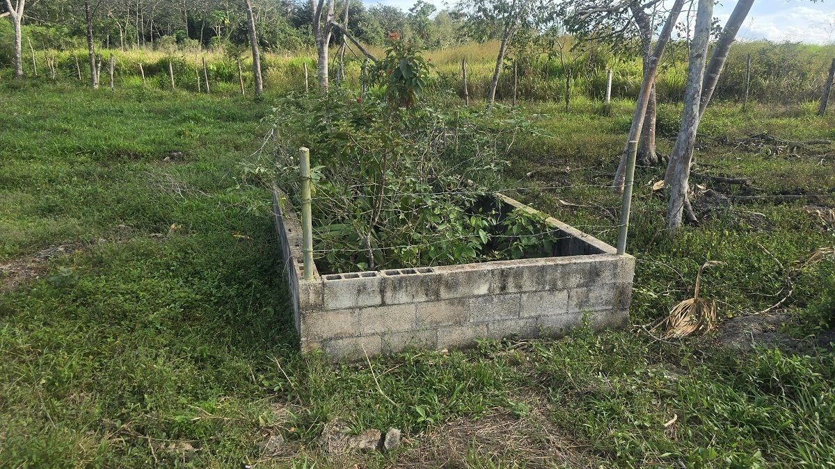Pretil del cenote