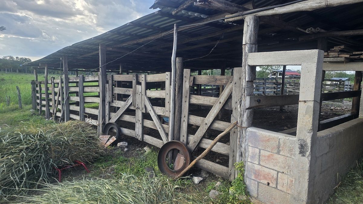 Corral de manejo con embarcadero