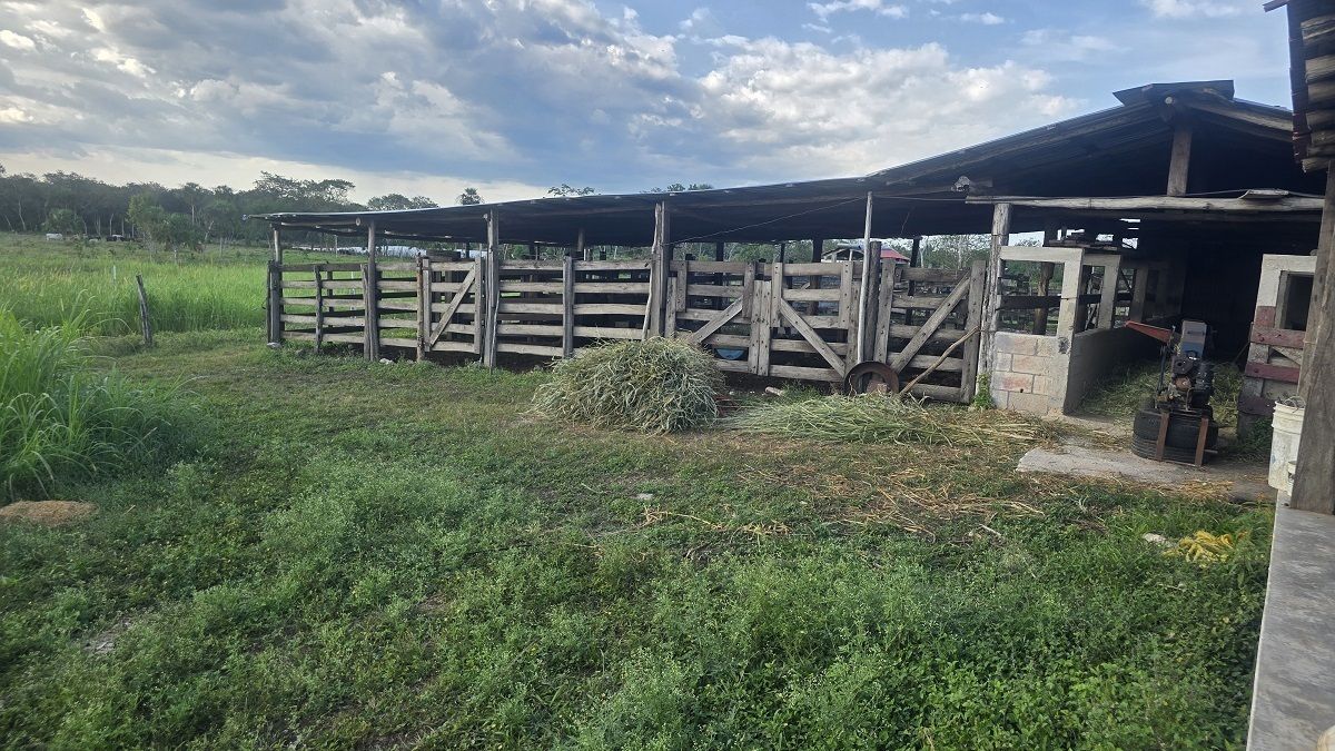 Otra vista del corral