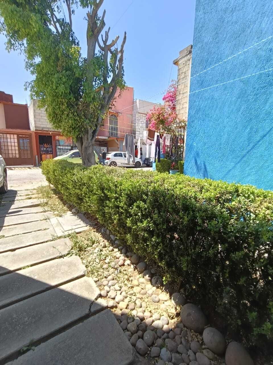 5 de 19