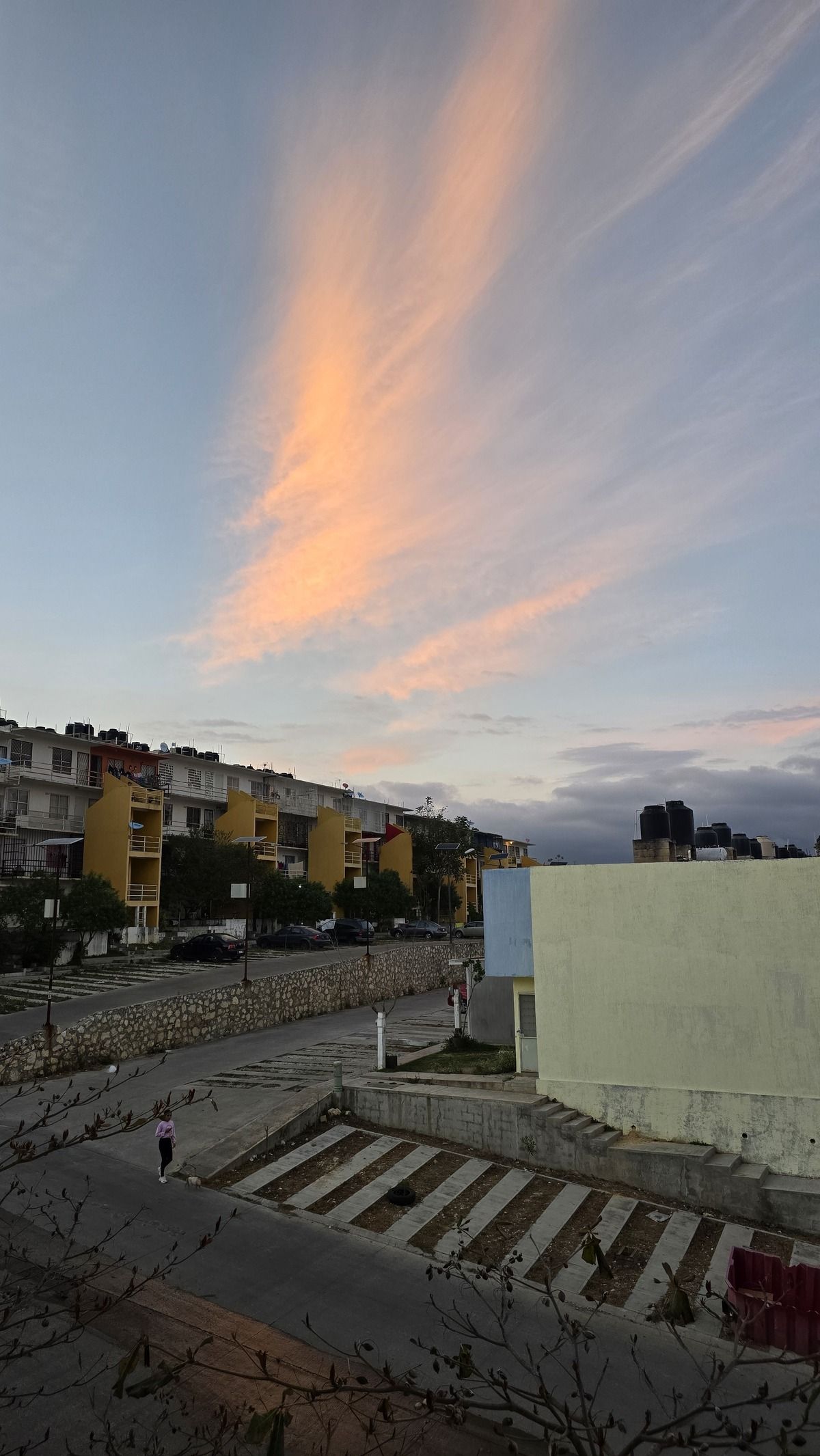 5 de 6