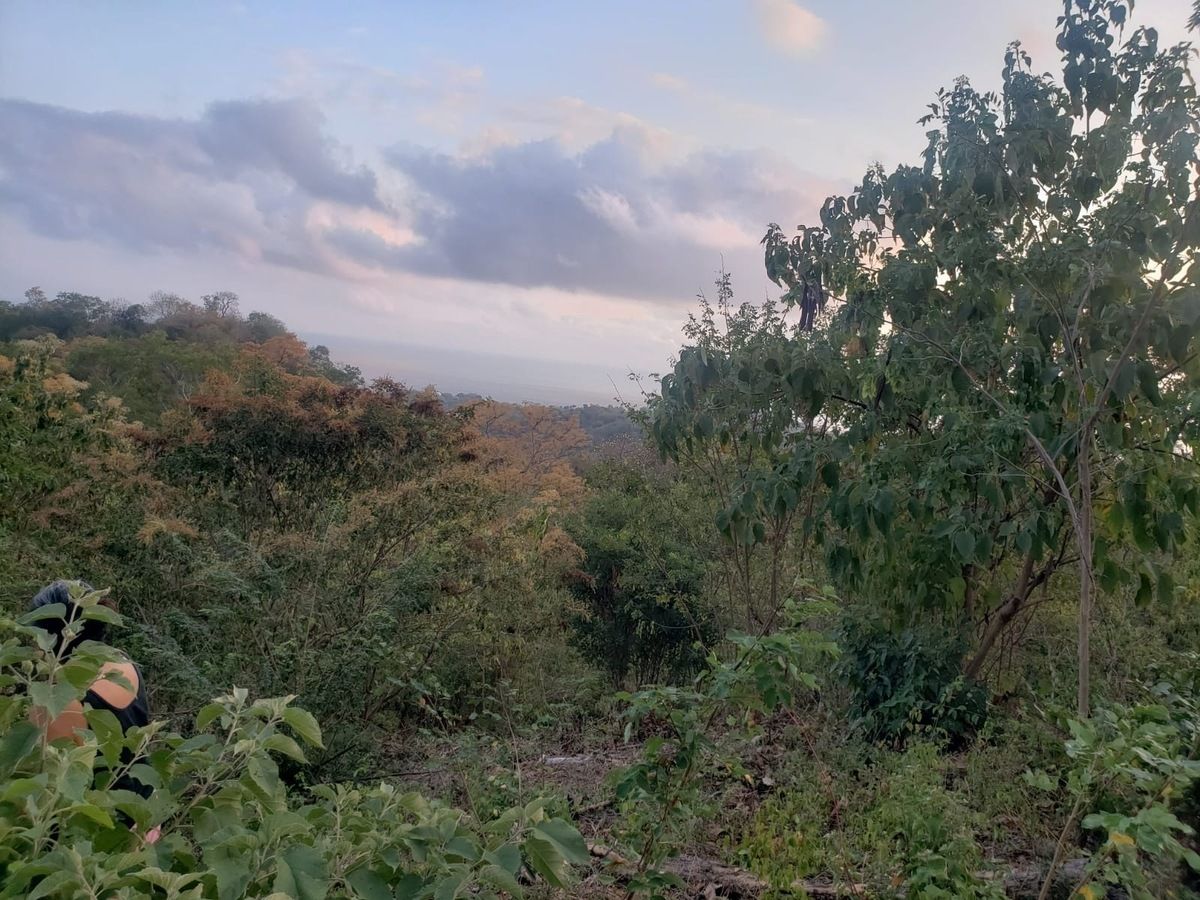 4 of 8: vista del terreno
