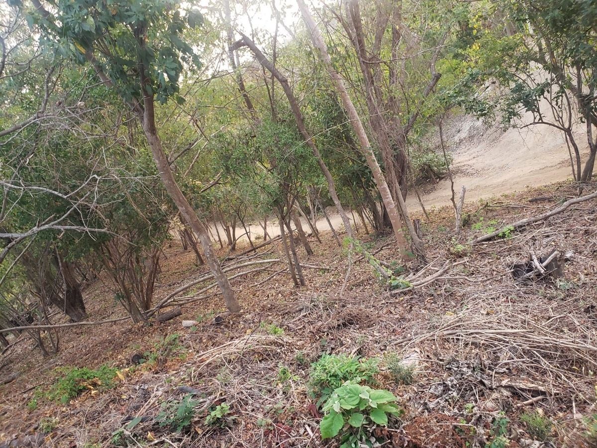 5 of 8: terreno natural